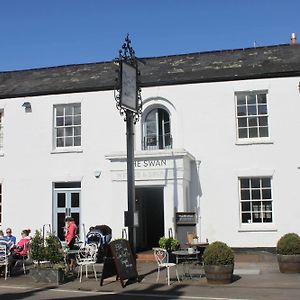The Swan
